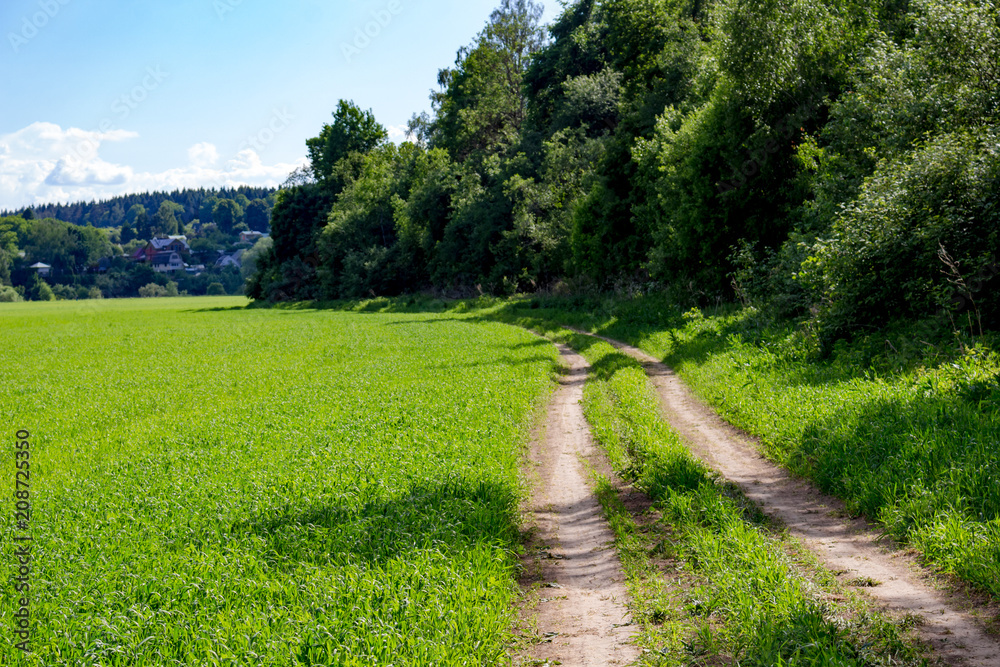 Rural dirt road along the agricultural field
Rural dirt road along the agricultural field