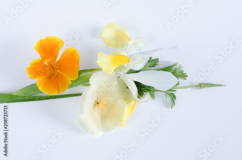 Fototapeta Naklejka Na Ścianę i Meble -  Bouquet of flowers on white background. Flat lay.