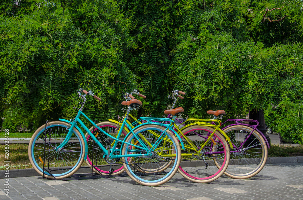 Bicycle parking in summer, city Odessa Ukraine