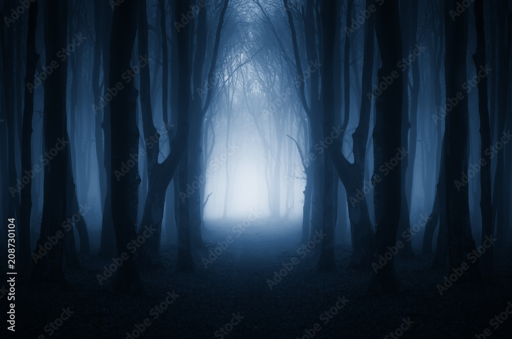 magical forest path, surreal landscape - obrazy, fototapety, plakaty 