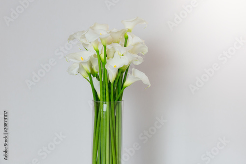 beautiful flower bouquet of calla 