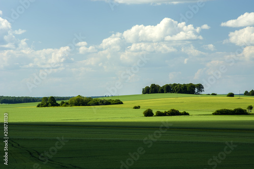 Green fields, copses and clouds in the sky
