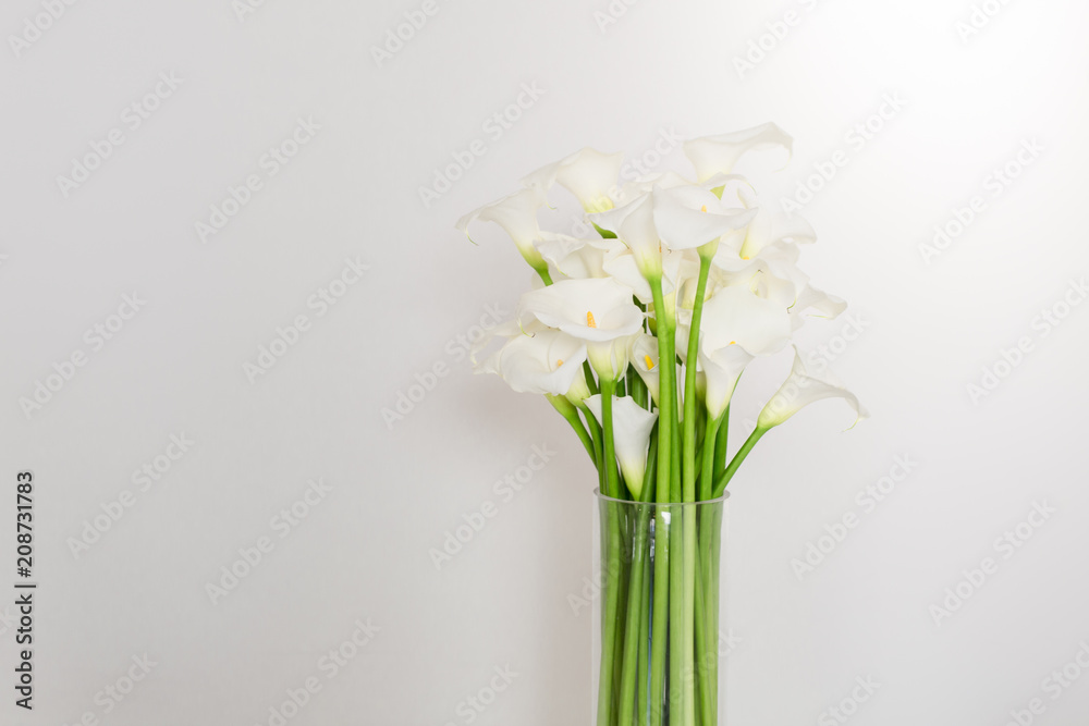 beautiful flower bouquet of calla	