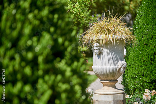 Botanical garden of Sežana, 19th century, Slovenia A 150-years old cedar, flowerbeds, blooming pergolas and the palmarium - garden of joy photo