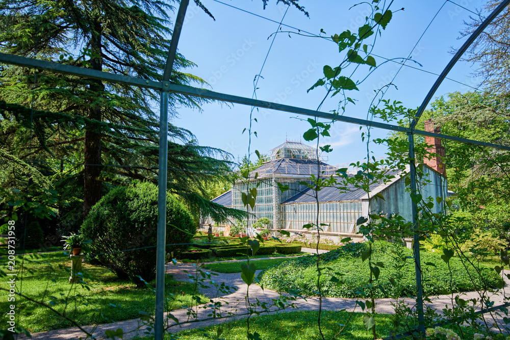 Botanical garden of Sežana, 19th century, Slovenia A 150-years old cedar, flowerbeds, blooming pergolas and the palmarium - garden of joy Botanical garden of Sežana, 19th century, Slovenia A 150-years old cedar, flowerbeds, blooming pergolas and the palmarium - garden of joy