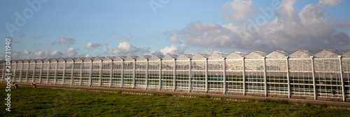 Large Modern Glass Greenhouse