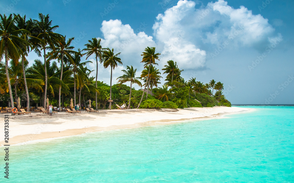 Obraz premium Maldives island. The perfect beach