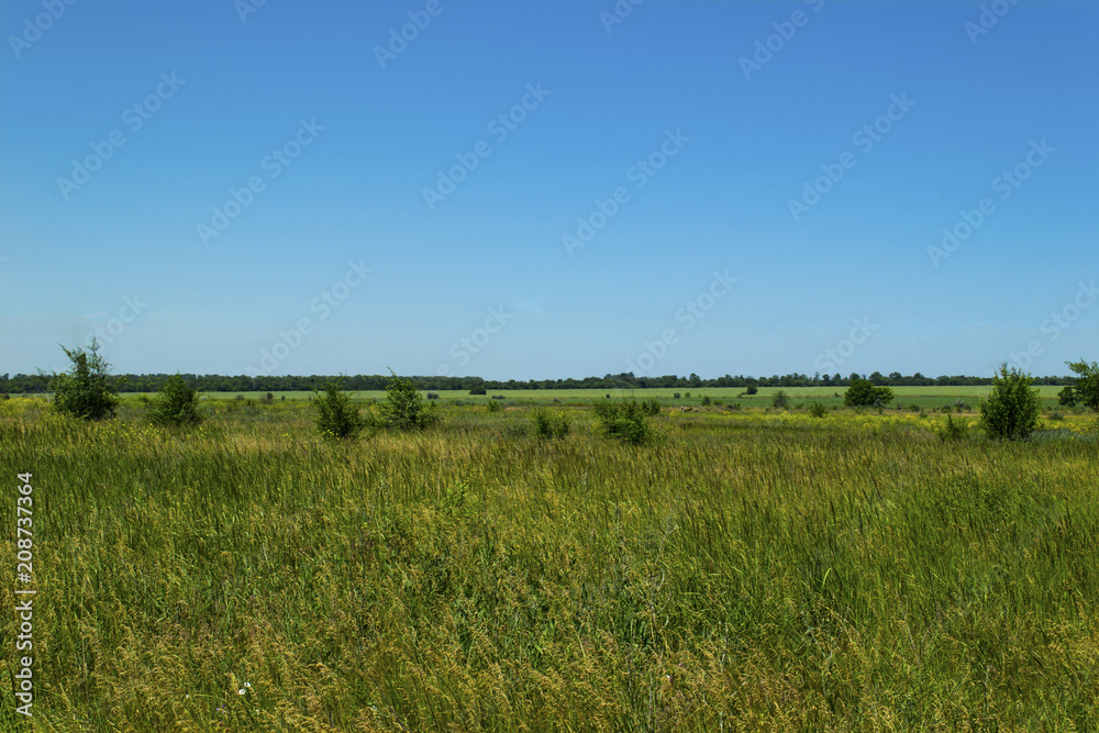 Ukraine field