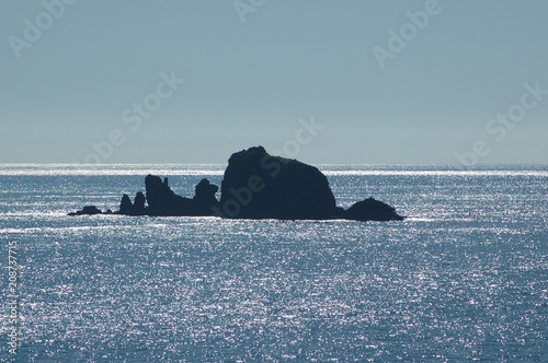 Rocks in silhouette against a glittering ocean. © Anne