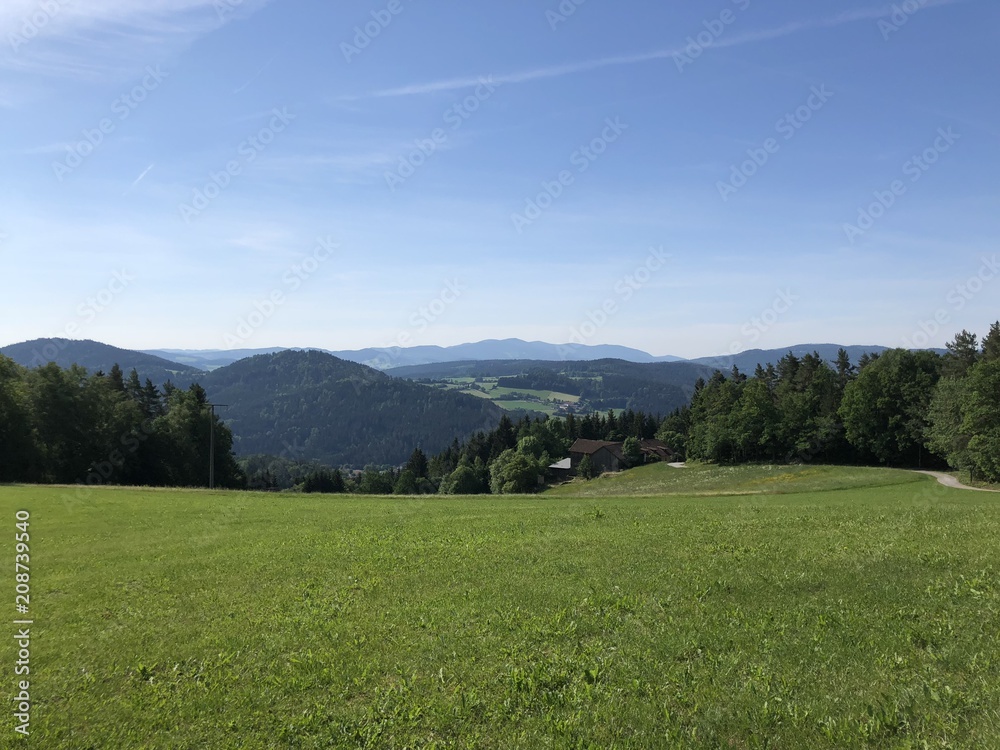 Fototapeta premium Bayerischer Wald