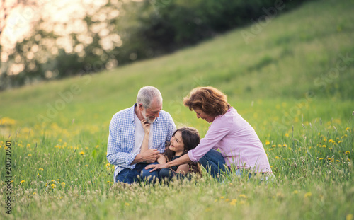 Senior couple with granddaughter outside in spring nature, relaxing on the grass. © Halfpoint