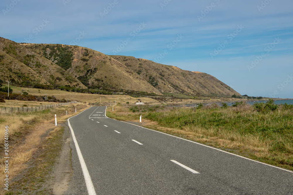 New Zealand Country Road To Cape Palliser 