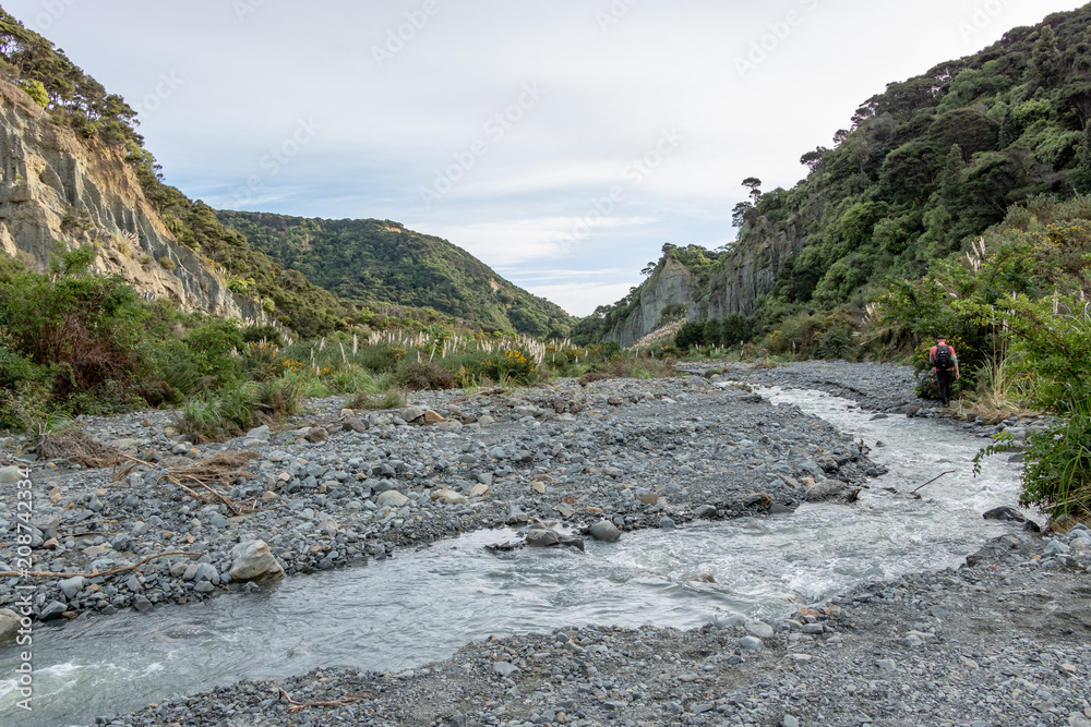 New Zealand Hiking Path Mountain Stream 