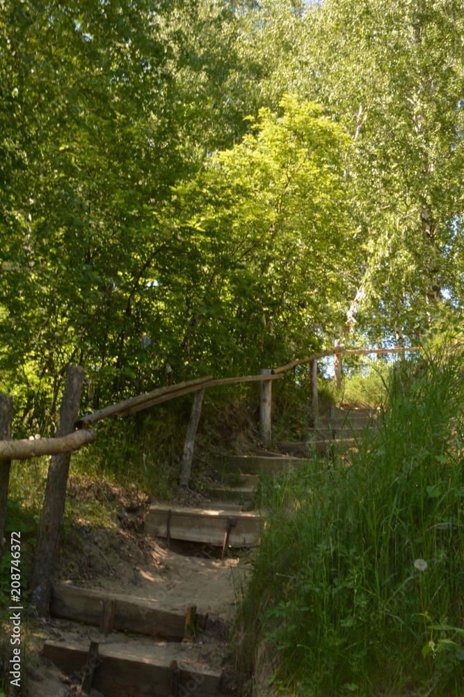 summer, season, sun, sky, heat, nature, greenery, grass, forest, blue, tree, birch, clouds, freshness, yellow, flowers, landscape, stream, spring, water, oxygen, field, mountain, hill, cliff, trail, b summer, season, sun, sky, heat, nature, greenery, grass, forest, blue, tree, birch, clouds, freshness, yellow, flowers, landscape, stream, spring, water, oxygen, field, mountain, hill, cliff, trail, b