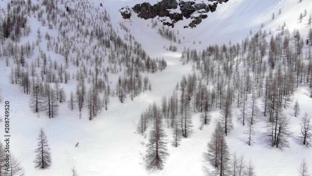 Aerial video of winter forest. Aerial drone shot of the frozen forest. Aerial winter landscape of high pine trees in Siberia Altai. Big mountain and glacier valley. Glacier on top of the mountain. Aerial video of winter forest. Aerial drone shot of the frozen forest. Aerial winter landscape of high pine trees in Siberia Altai. Big mountain and glacier valley. Glacier on top of the mountain.