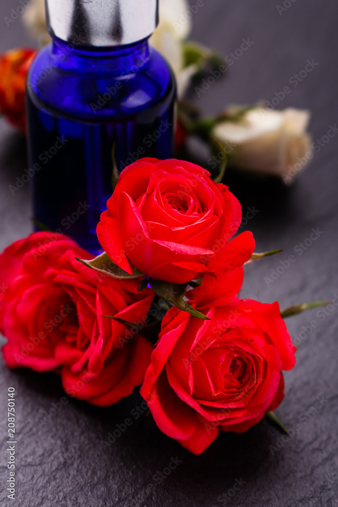 Rose essential oil on a dark background Rose essential oil on a dark background