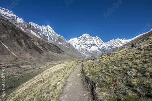 Himalaya Annapurna Berge Hiking Pfad