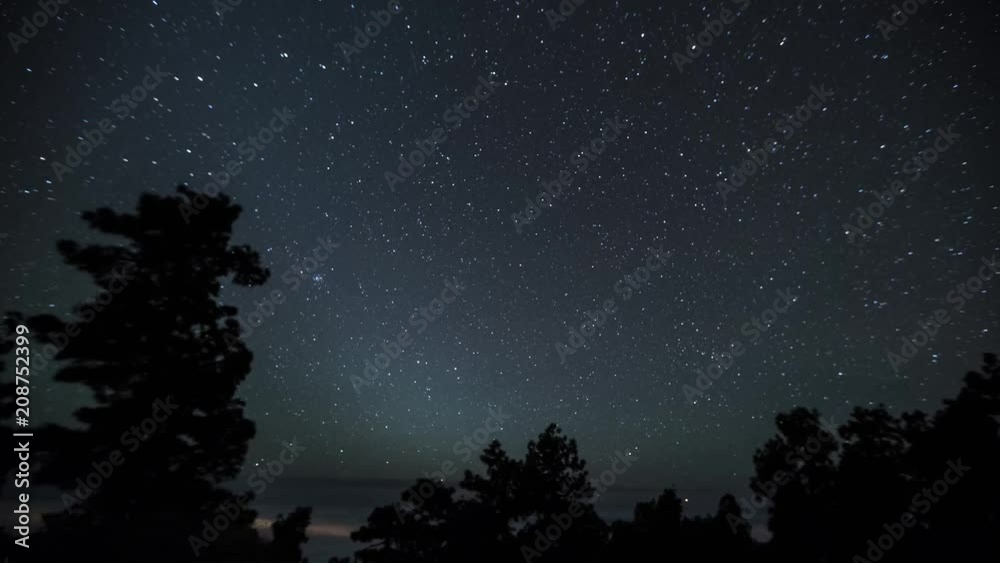 Timelapse of the night sky showing stars over trees in La Palma, Canary Islands, Spain Timelapse of the night sky showing stars over trees in La Palma, Canary Islands, Spain