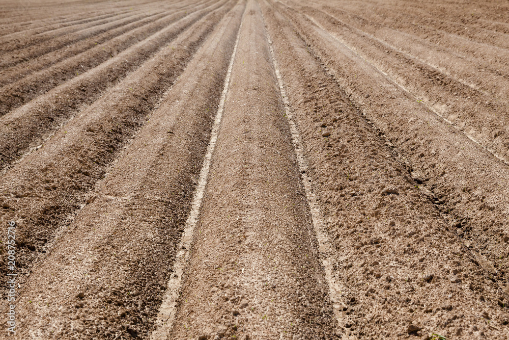 furrows on the field furrows on the field