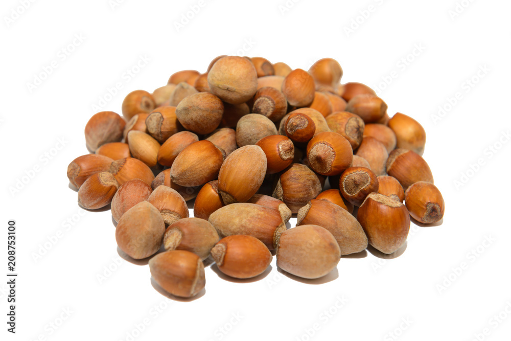 a bunch of hazelnuts on a white background a bunch of hazelnuts on a white background