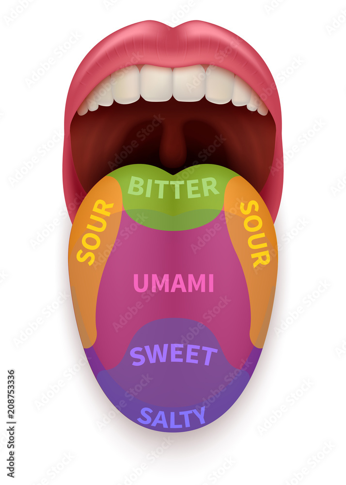 Realistic Tongue With Basic Taste Areas Tasting Map In Human Mouth
