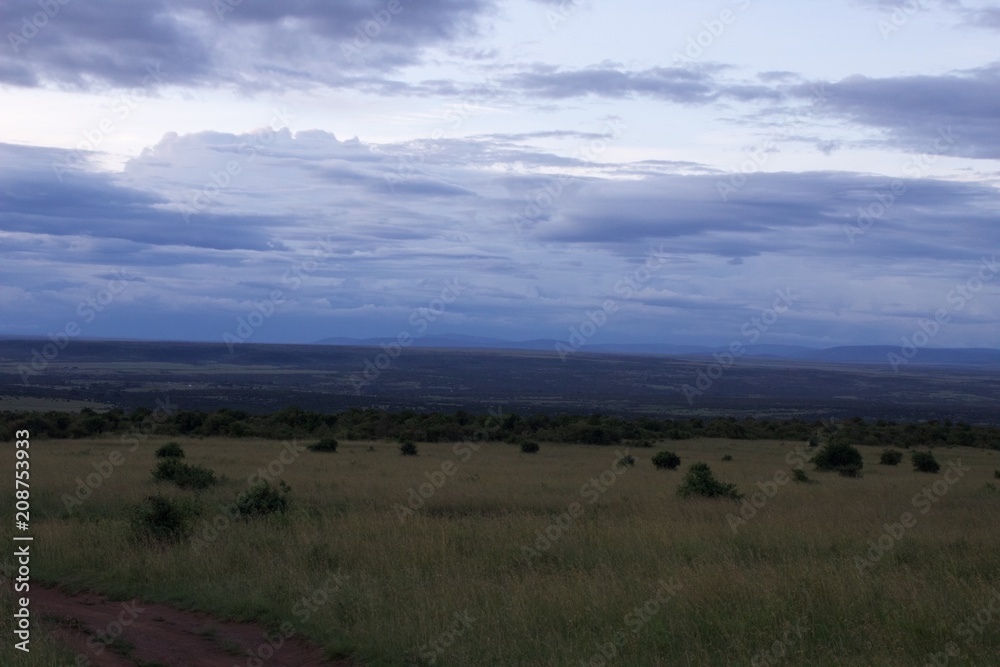 Masai Mara Kenya