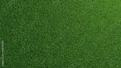 Gras Rasen Textur von oben photo
