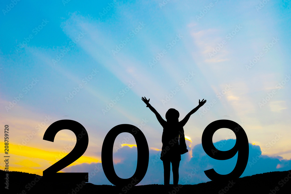 2019 new year happy for silhouette girl stand 2019 new year happy for silhouette girl stand