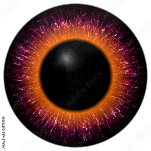 Purple and orange eye texture with black fringe and white background