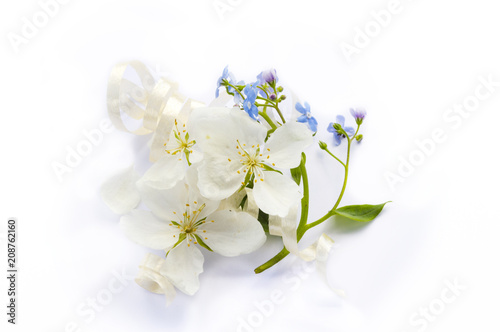 white flowers of apple tree and forget me nots on white background