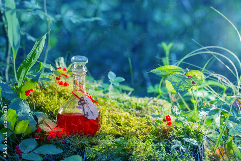 Magic potion in bottle in forest Magic potion in bottle in forest