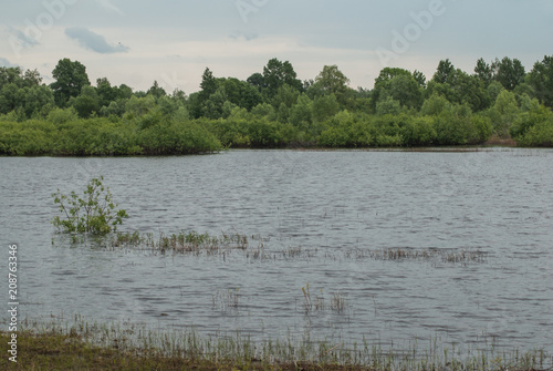 The river overflowed and flooded the trees,