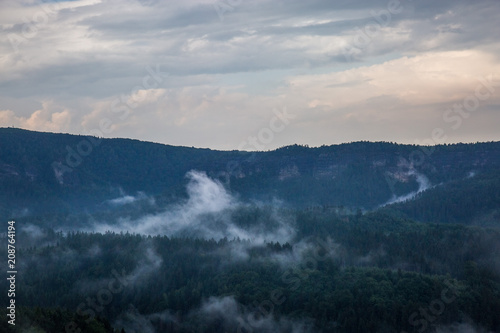 Fototapeta Naklejka Na Ścianę i Meble -  Regen verdampft im Wald nach einen Sommergewitter