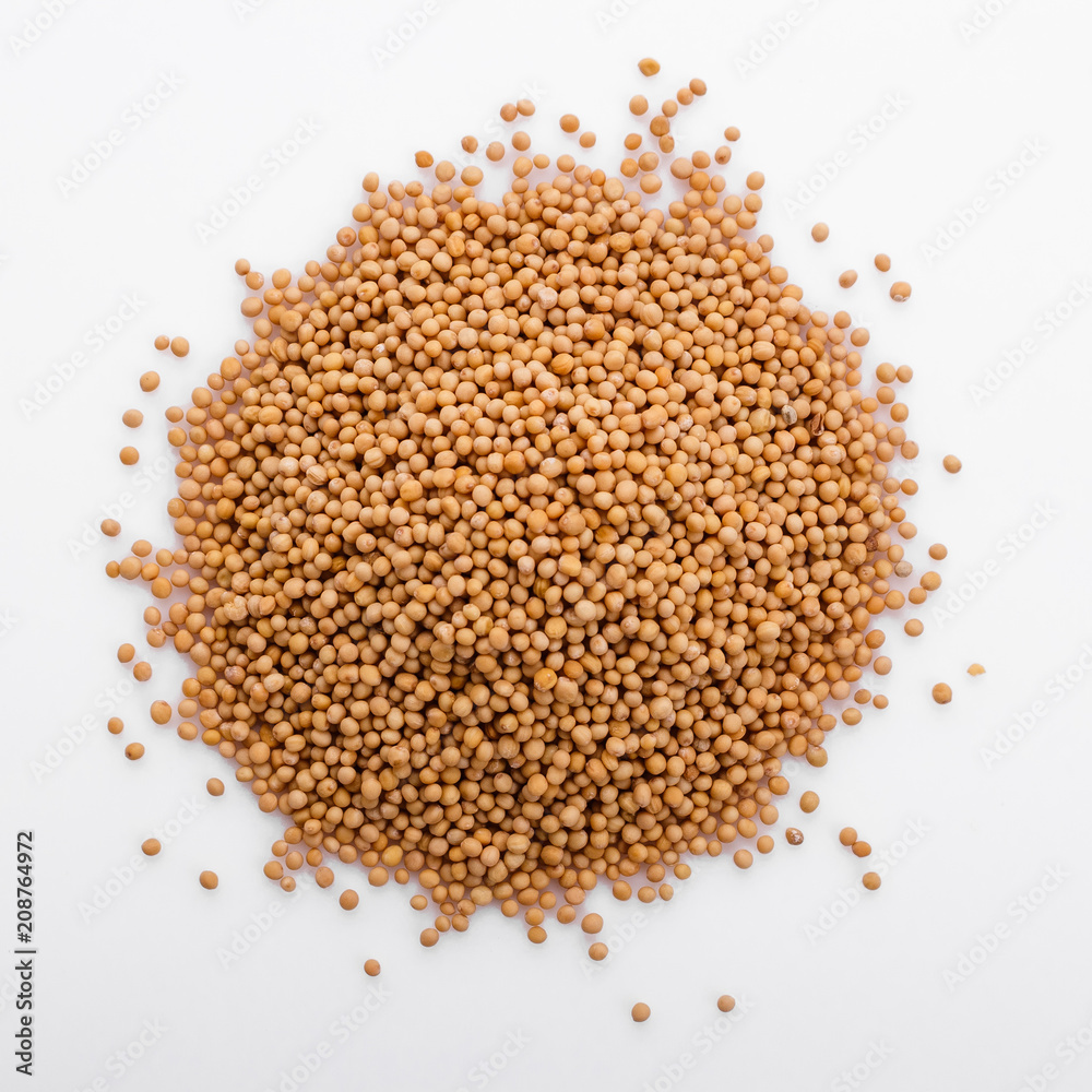 fragrant grains of mustard on a white background fragrant grains of mustard on a white background