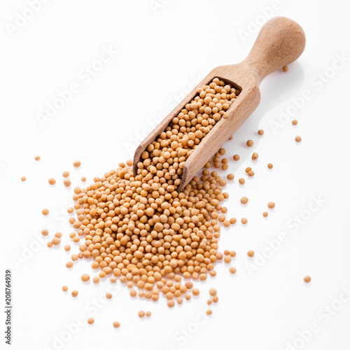 fragrant grains of mustard on a white background