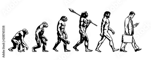 Stampa su tela Theory of evolution of man