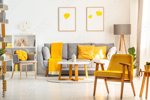 Yellow wooden armchair in bright living room interior with grey sofa under posters. Real photo