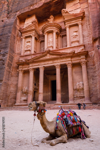Camel in front of Treasury Building in Petra in Jordan