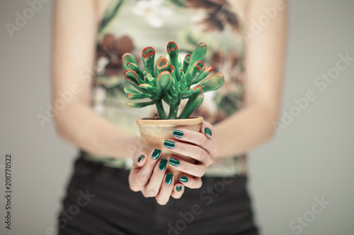 Woman hands holding succulent plant, with perfect green nail polish, can be used as background