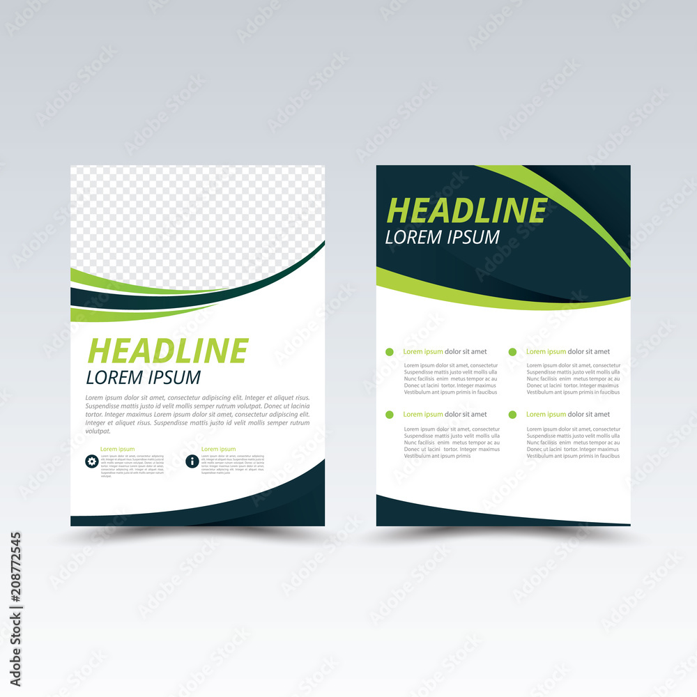 Fototapeta premium Vector Brochure Flyer design Layout template, size A4, Front page and back page, infographics.