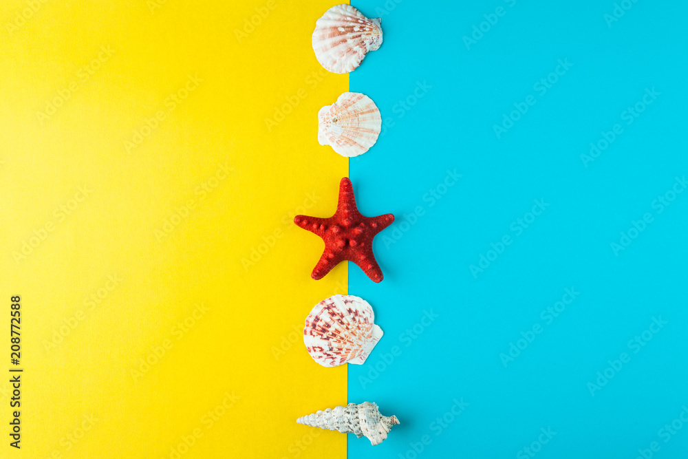 Obraz premium seashells and starfish laid out in a line