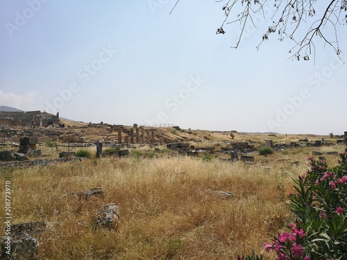 Landscape summer Turkey