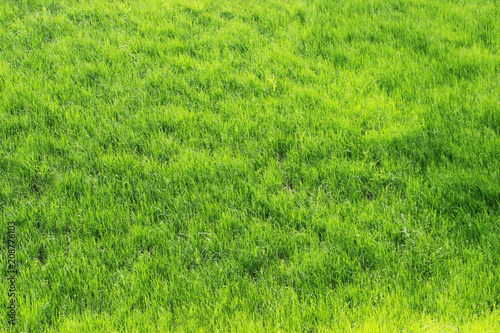 Green grass planted especially on the slope and in the roadside of a wide highway.