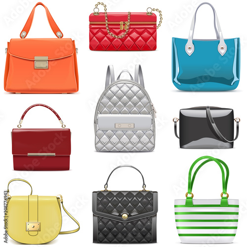 Vector Fashion Female Handbags photo