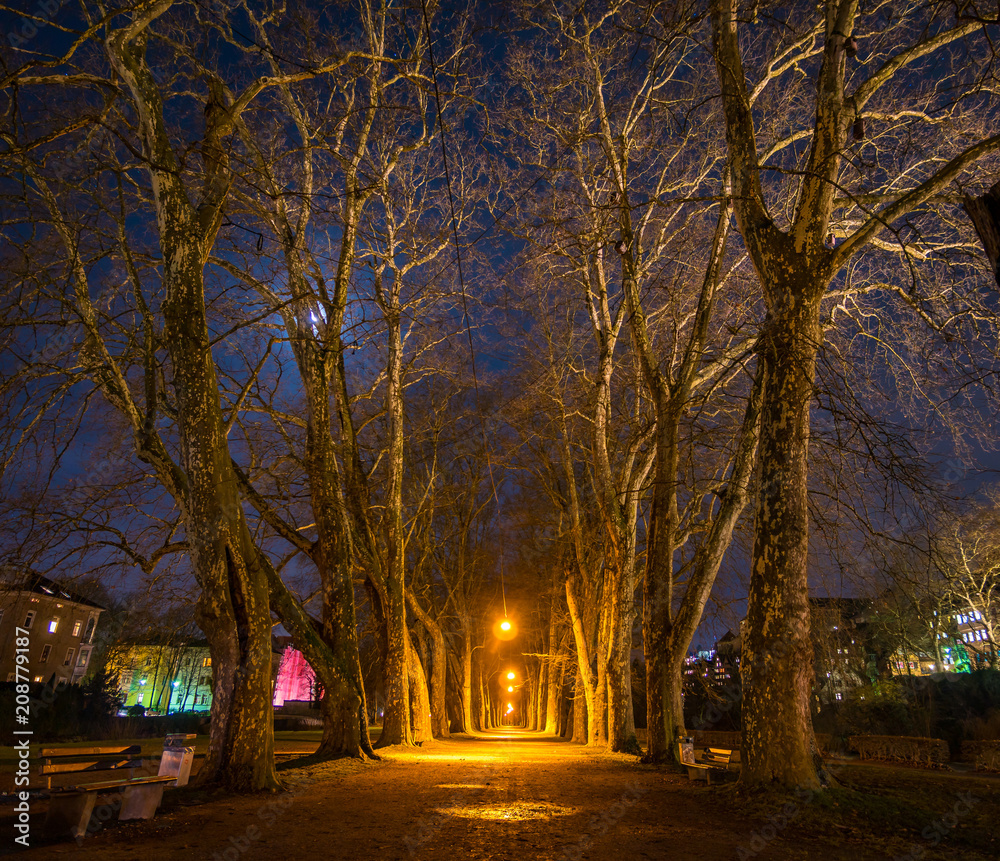 Fototapeta premium Stadtpark in Tübingen bei Nacht