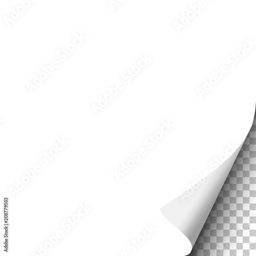 White paper background with curled lower right corner. Vector template paper design.