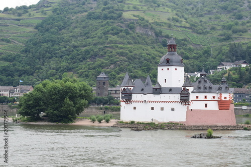 Burg Pfalzgrafenstein photo