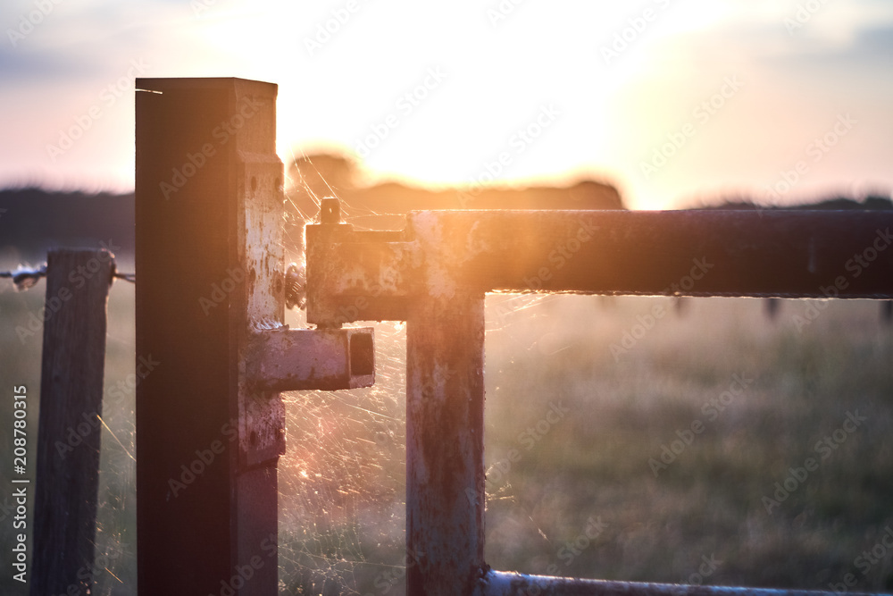 rusty paddock gate with sunflair