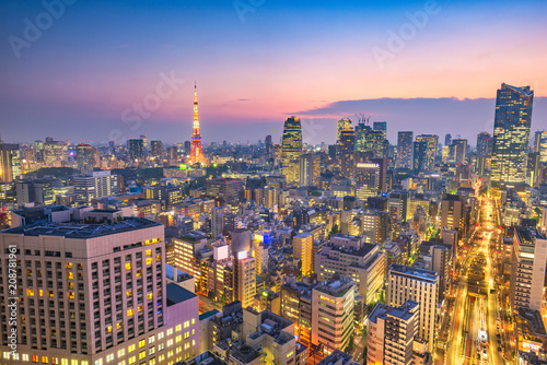 Tokyo  Japan Skyline at Dusk