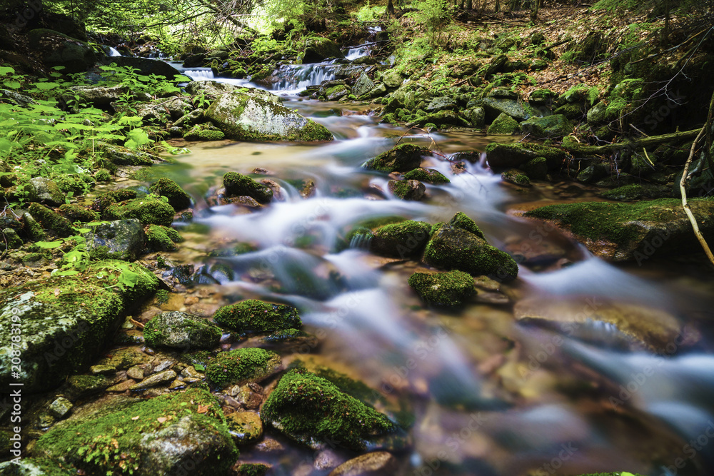 Poniklý potok is a mountain stream in the Jeseníky mountain range, northern Moravia, Czech Republic Poniklý potok is a mountain stream in the Jeseníky mountain range, northern Moravia, Czech Republic